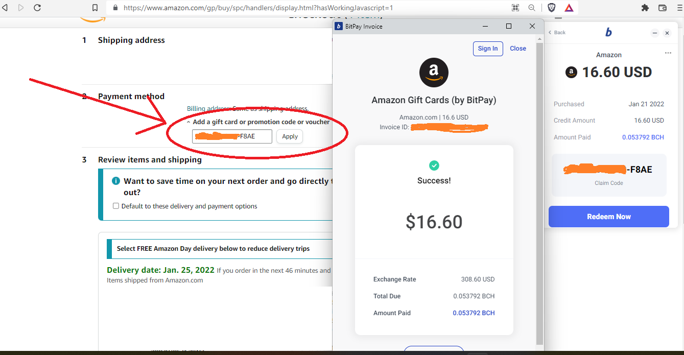 brave-browser-bitpay-bitcoin-cash-bch-btc-amazon-gift-card-checkout-add-a-gift-card-code-luke-nandibear-2021-2022-nandi-bear