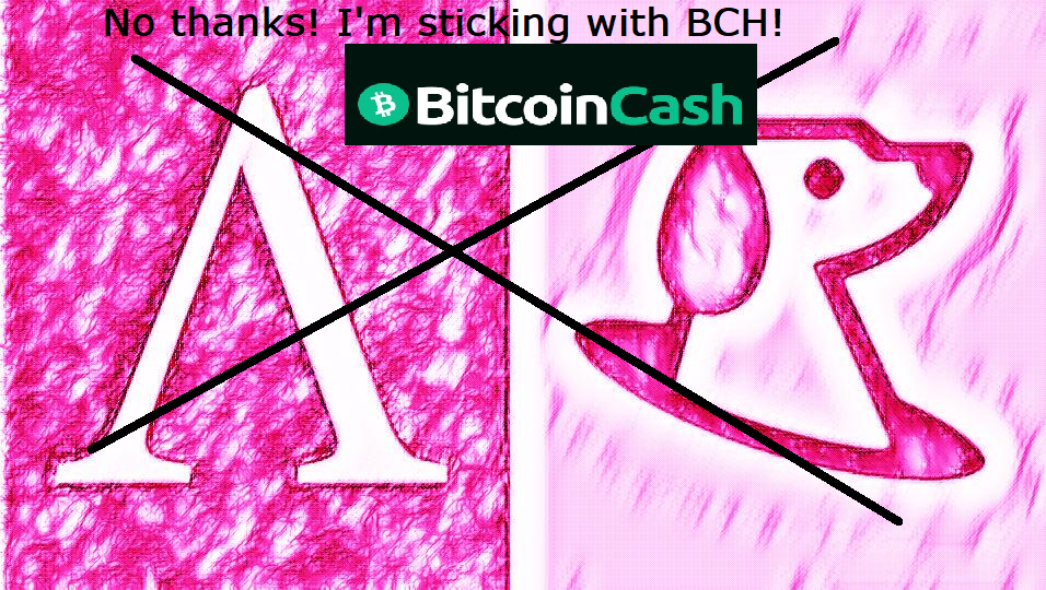 no-thanks-spot-by-ampleforth-cbdc-motb-or-just-another-scam-im-sticking-with-bitcoin-cash-bch-luke-nandibear-2022-2023